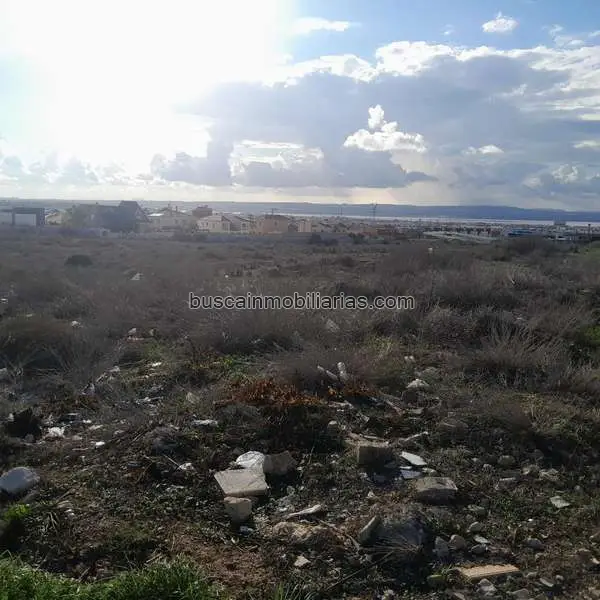 Parcela Rustica en Venta Aguas Nuevas Torrevieja