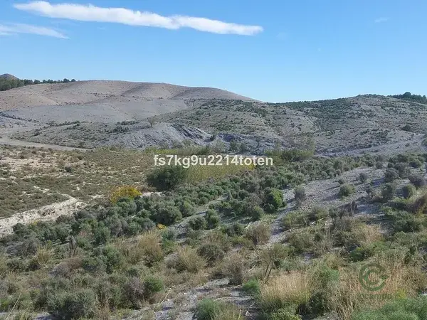 Parcela 2 Hectareas Murcia Lorca
