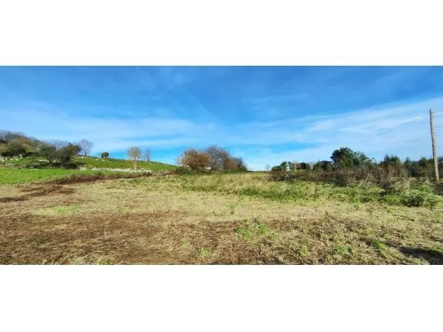 Finca Rustica 3135m2 Castillo Pedroso