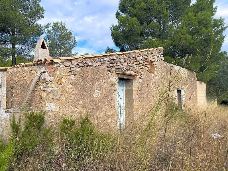 Finca Rustica en El Perello Tarragona con Olivos y Vistas al Mar