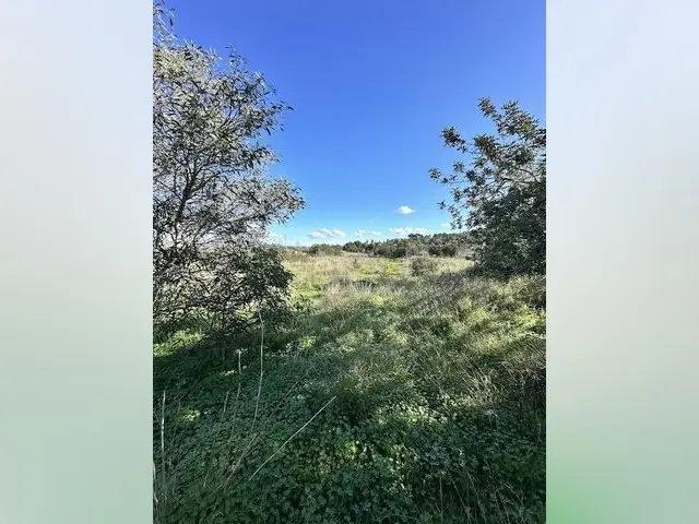 Terreno en Venta San Jose: 19000m2 con Licencia para Casa de 275m2 y Piscina