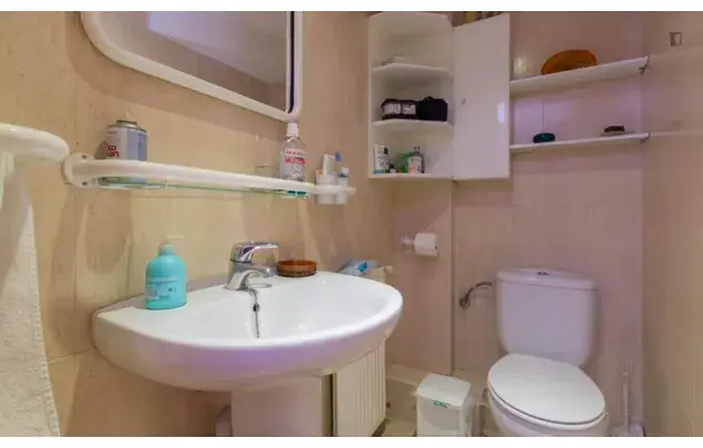 Alquiler Apartamento 3 Dormitorios Madrid Centro