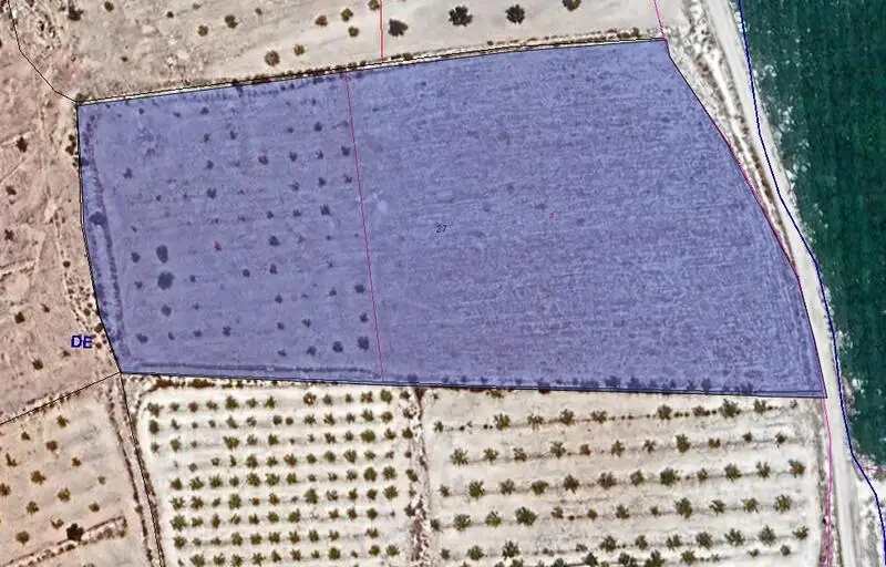Terreno en Venta Pinoso 14350m2 Agua de Riego