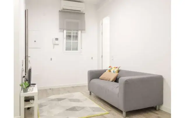 Alquiler Piso 1 Dormitorio 34m2 Madrid Amueblado