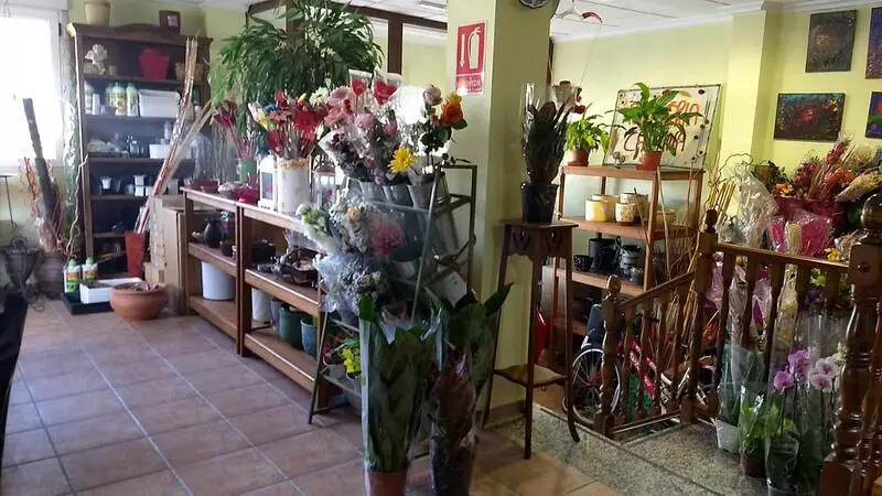 Bungalow 3 Dormitorios Pinoso Alicante