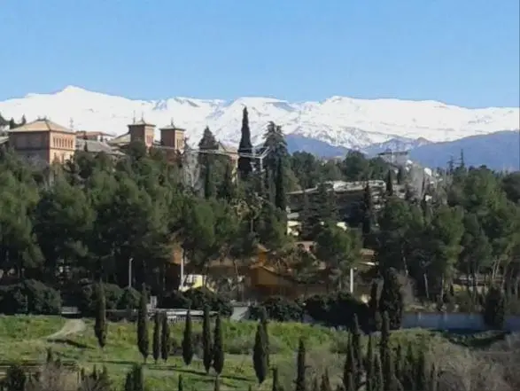Alquiler Piso Soleado Cartuja Estudiantes 4 Dormitorios Terraza