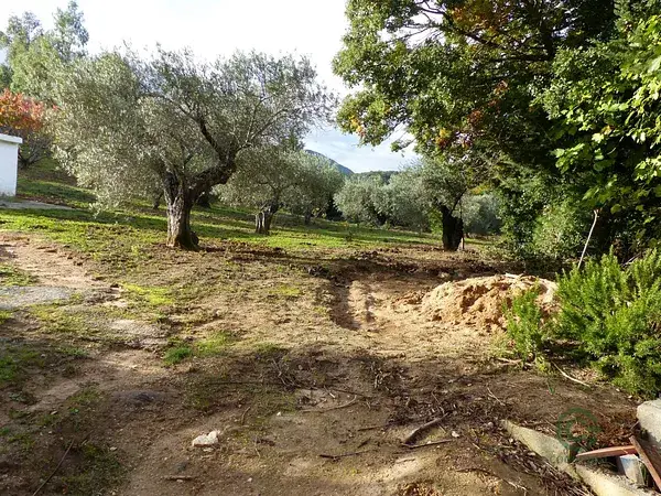 Finca Rustica Ronda 7500m2