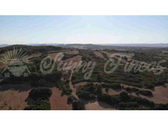 Casa Chalet 100 Hectareas Almansa Albacete Finca Rustica Caza