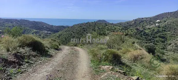 Finca Rústica Málaga 34094m2 Vistas al Mar Cultivo Vivienda Negocio