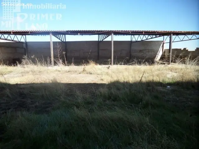 Solar Cercado Obra Autovia Viñedos Tomelloso 800m2