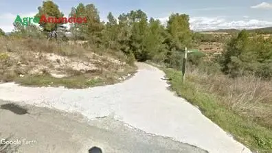 Venta  de Finca de almendros y viña con vivienda en Tarragona