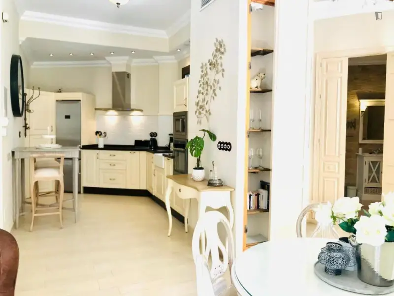 Apartamento 1 Dormitorio Malaga Centro