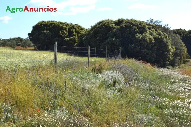 Venta  de Finca de recreo (labor y caza) en Ciudad Real