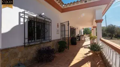 Finca rústica en venta en Calle Paraje Apolo N-14