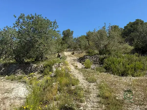 Finca Rustica 55000m2 Vistas al Mar Pobla Montornes