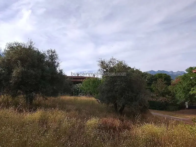 Parcela en Venta Madrigal de la Vera Sierra de Gredos