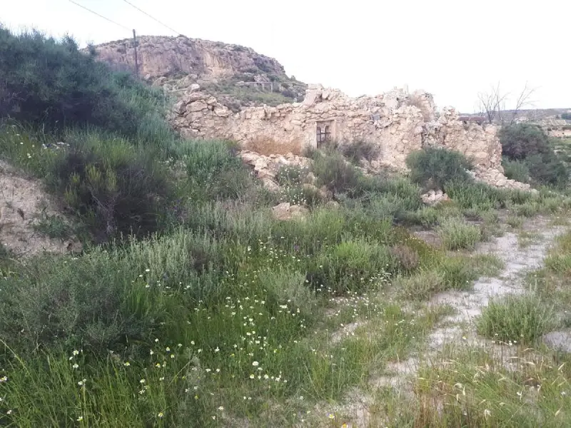 Venta Cortijo 3 Habitaciones Urracal 8177m2