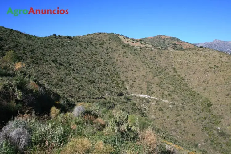 Venta  de Finca para aguacates o mangos en Granada