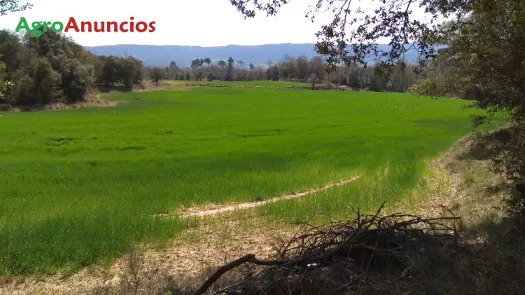 Venta  de Finca agrícola en Barcelona