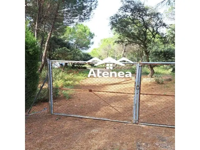 Venta Terreno Urbano Los Pinares del Jucar