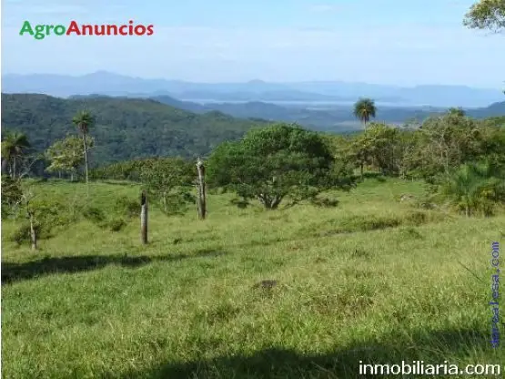 Alquiler  de Finca de regadío en Cáceres