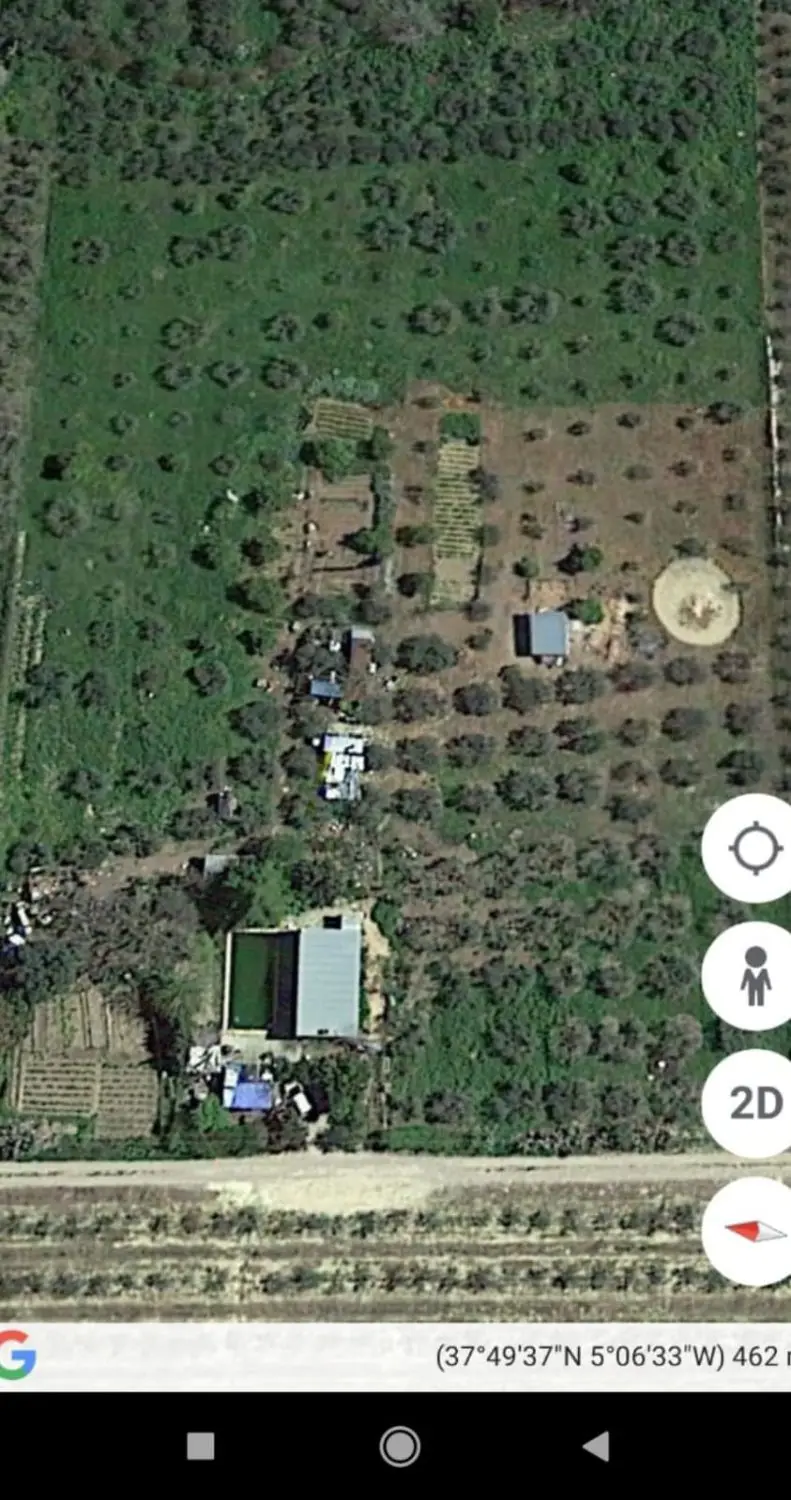 Venta Finca Olivar Posadas Produccion 6000 8000kg