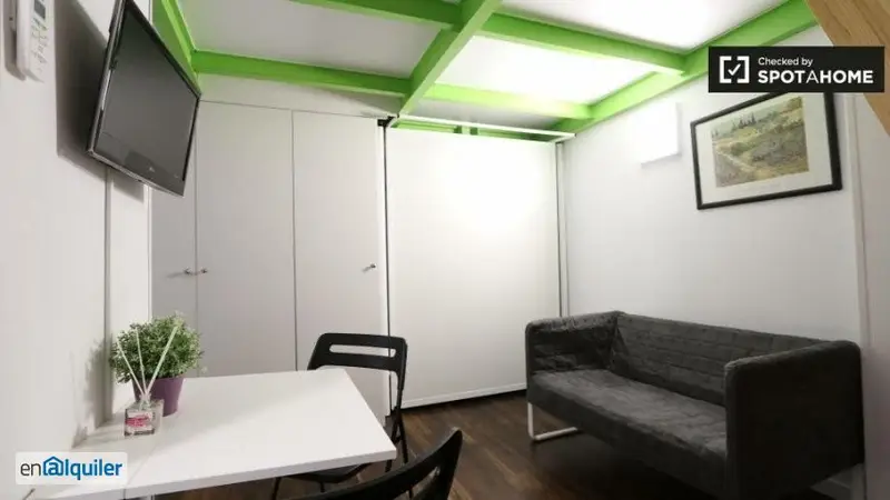 Estudio en Lavapiés Madrid Ideal para Estudiantes y Jóvenes Profesionales