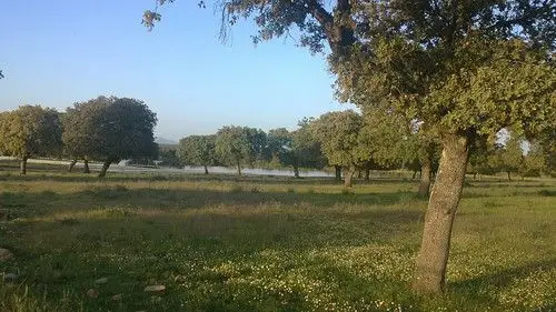 Venta Casa Coria 120 Hectareas Sierra Gata