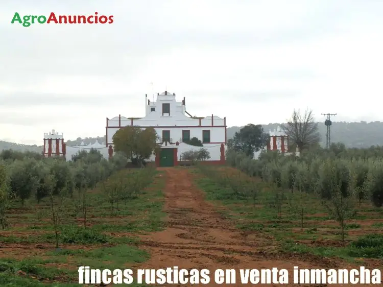 Venta  de Finca de olivos picual en ecologico en Ciudad Real