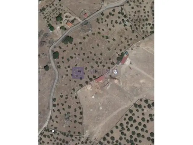 Parcela Casar de Caceres con 140 Olivos