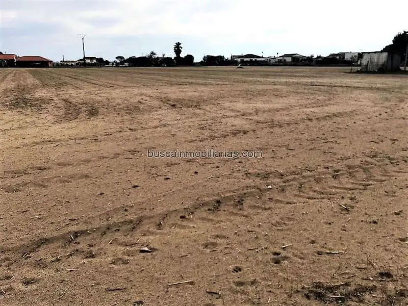 Parcela Rustica en Venta Don Benito