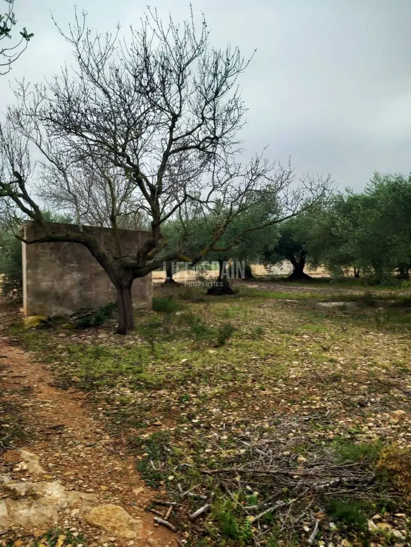 Finca Rustica en Venta Amposta 7319m2