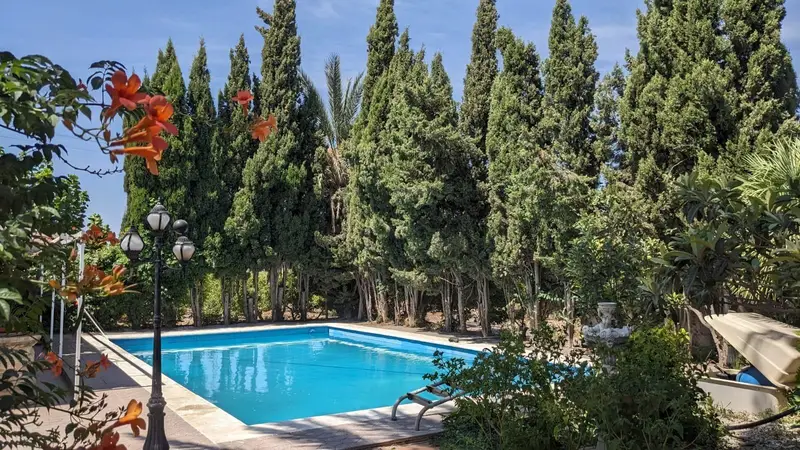 Venta Chalet Finca Productiva Albatera 4 Dormitorios Piscina