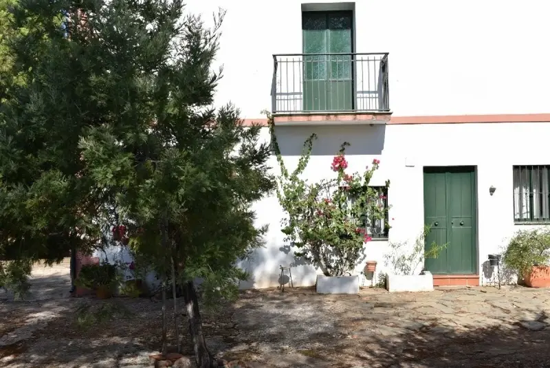 Venta Finca Rustica Montoro 1200 Olivos