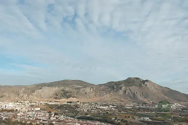 Finca con Olivos en Granada 46 Hectareas
