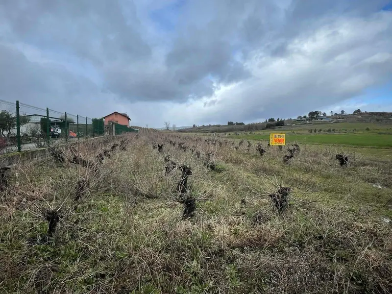 Finca Rustica en Venta Camponaraya Leon