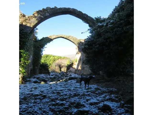 Finca Rustica en Venta Jarandilla de la Vera