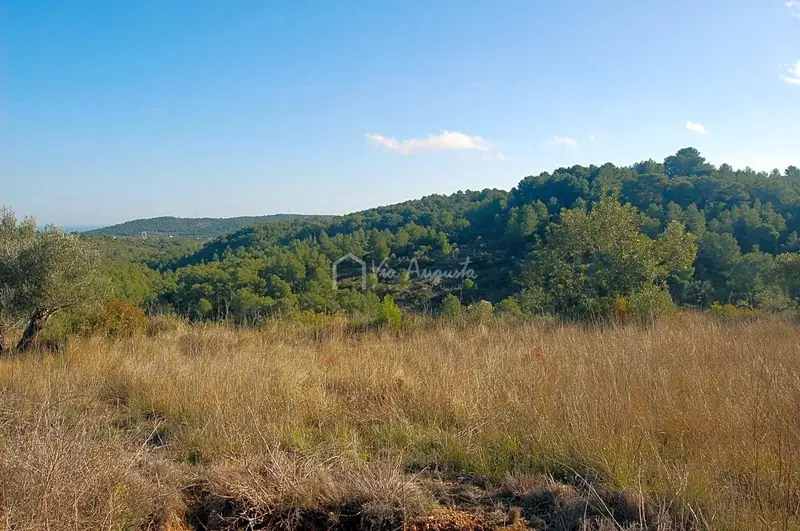 Finca Rustica en Venta El Perello Tarragona