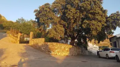 Casa en Venta en Benaocaz Cadiz 5 Dormitorios 760m2 Parcela