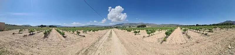 Terrenos en Venta Salinas Alicante