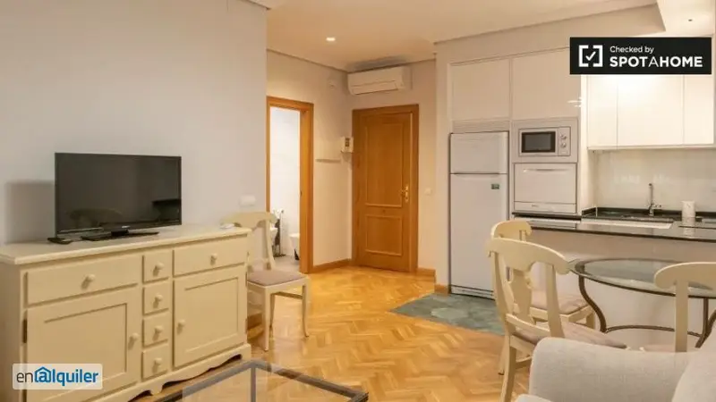 Apartamento Amueblado 1 Dormitorio Cortes Madrid Solo Trabajadores