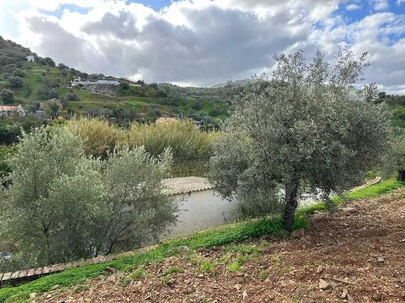 Parcela Rustica con Construccion en Coin