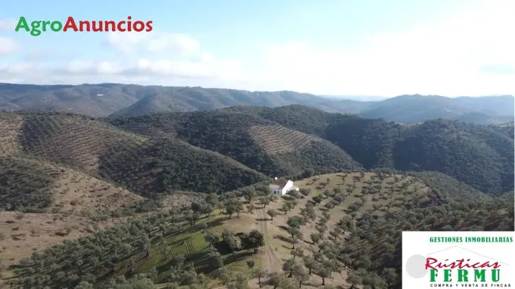 Venta  de Finca de olivar de sierra en Córdoba