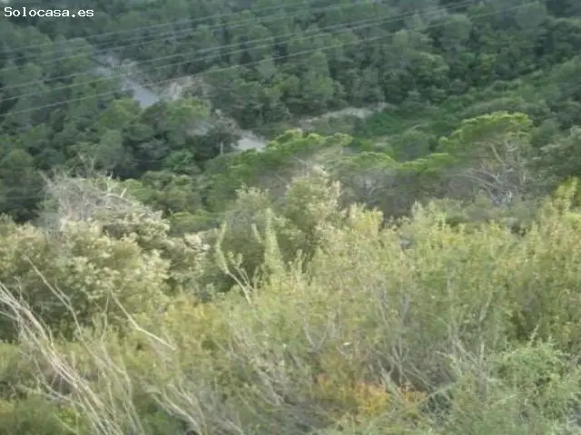 Terreno en Venta Castell de Cabrera