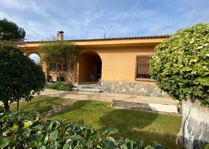 Villa 3 Dormitorios Sax Piscina Establo