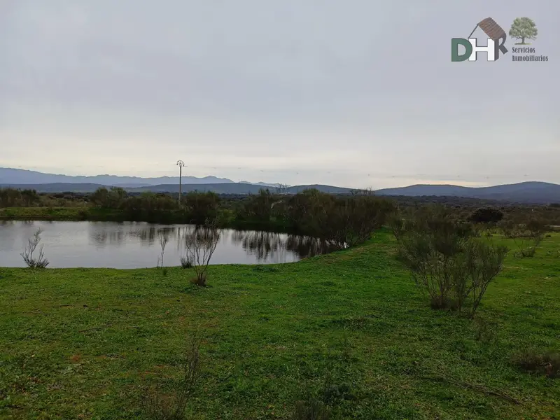 Venta Finca Rustica 90 Hectareas Caceres Ganaderia