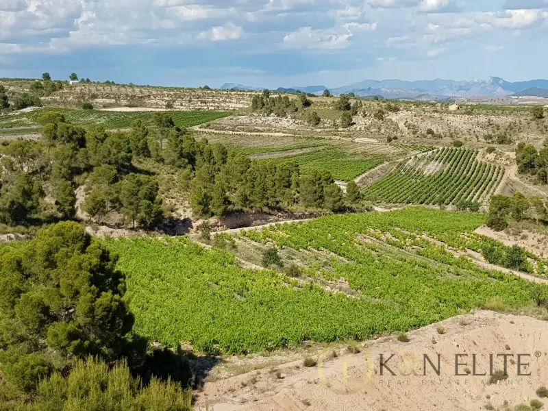 Venta Finca con Bodega en Jumilla - MAS_1194