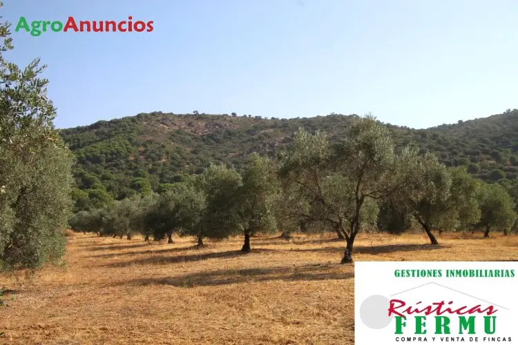 Venta Finca Recreo Cordoba 26 Fanegas