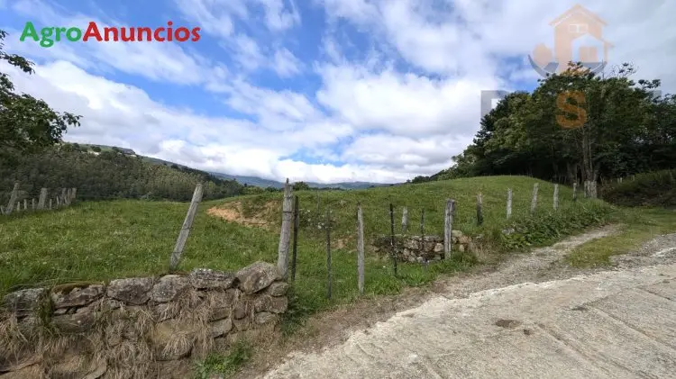 Venta  de Finca rustica edificable en Cantabria