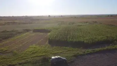 Finca Rustica en Venta - Calle Poligo 12 Parcela 172